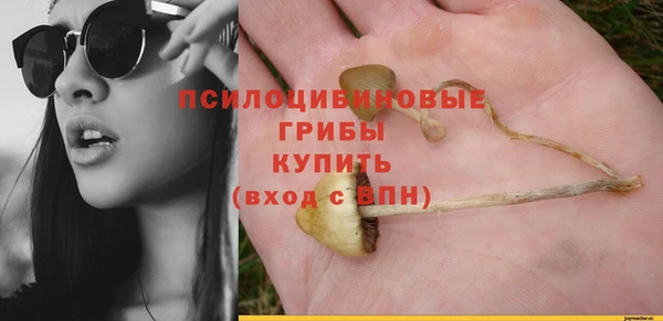 дживик Алзамай