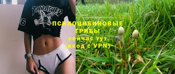 2c-b Абдулино